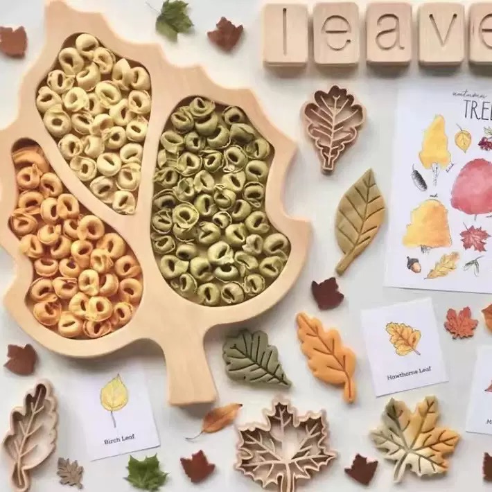 Wooden Leaf Sorting Tray Kit