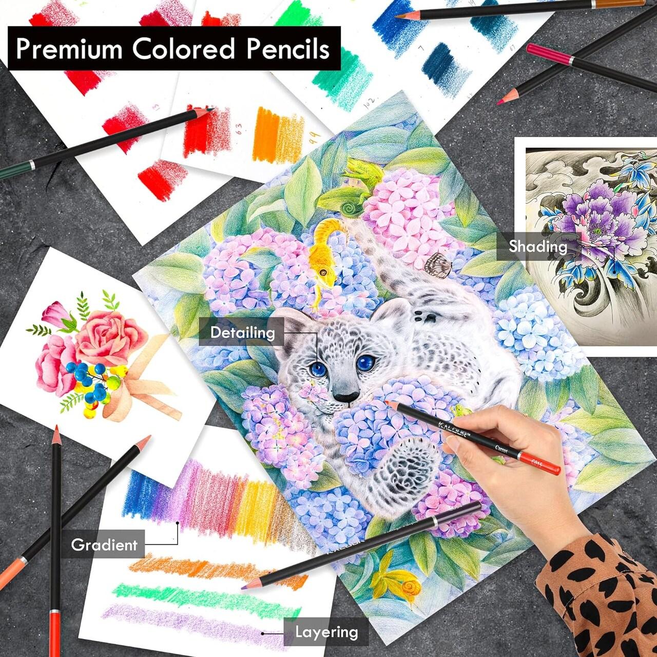 Deluxe 100-Piece Sketch & Colored Pencil Kit with A5 Sketchbook
